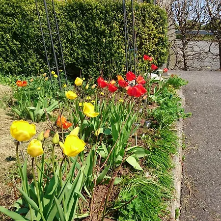 Apartamento Utsiken *