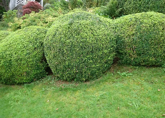 Διαμέρισμα Utsiken