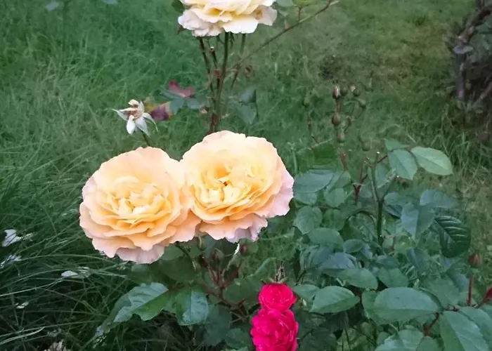 Utsiken Appartement *