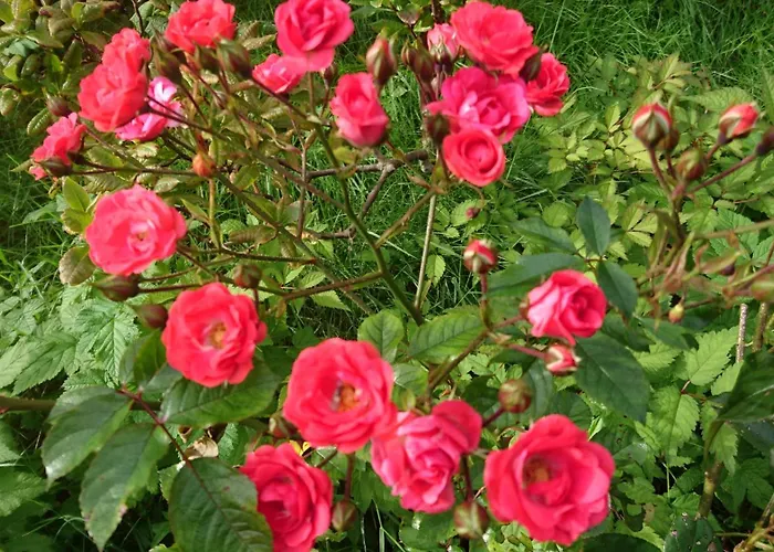 Appartement Utsiken *